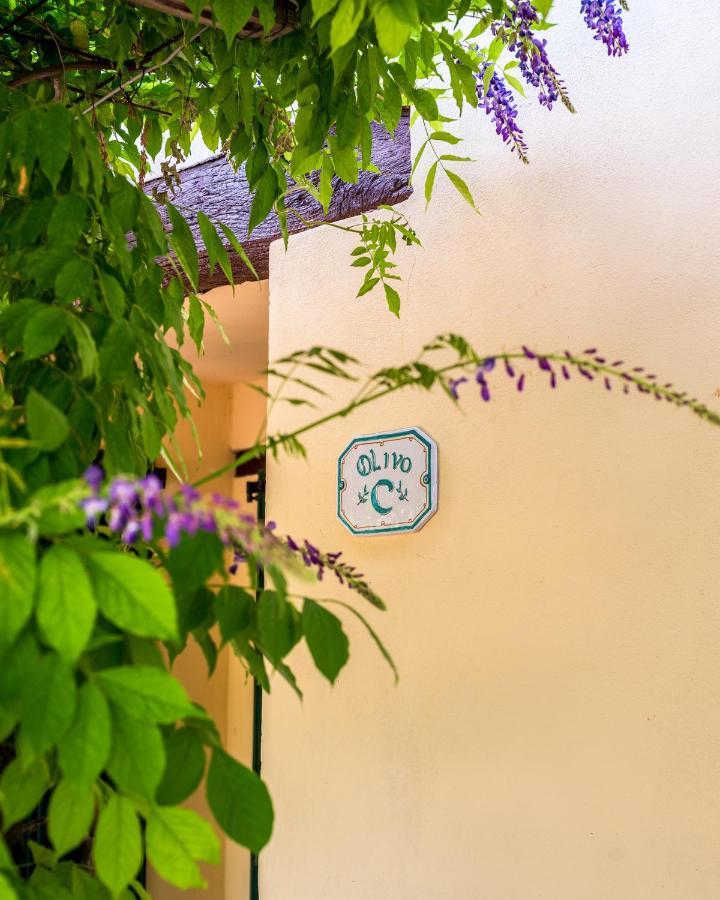 Agriturismo La Fonte Bevagna Dış mekan fotoğraf