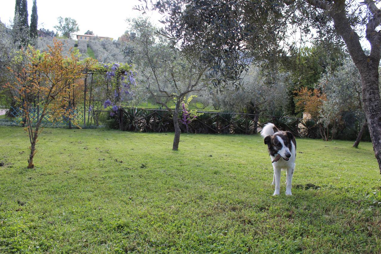 Agriturismo La Fonte Bevagna Dış mekan fotoğraf